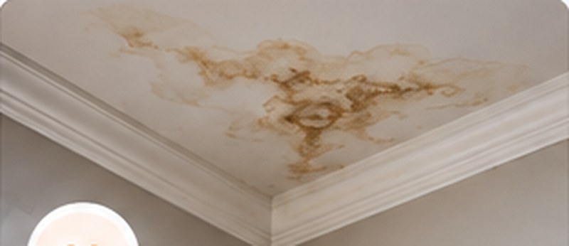 Water Stains on Ceilings or Walls